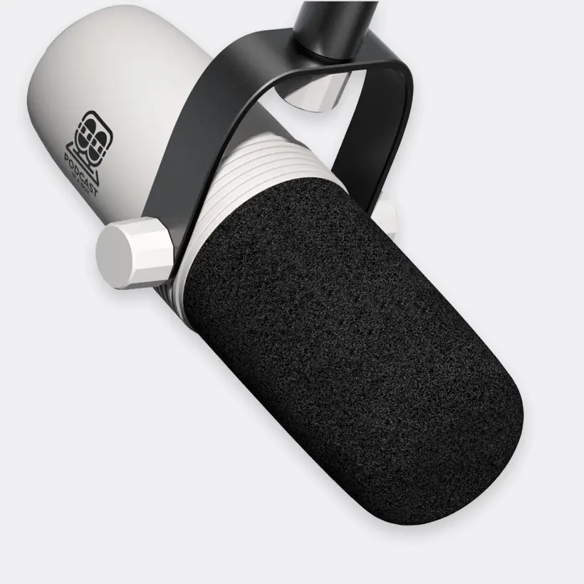 Professional dynamic microphone